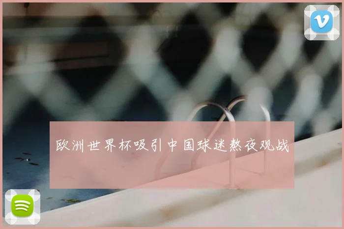 欧洲世界杯吸引中国球迷熬夜观战