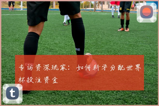 专访资深玩家：如何科学分配世界杯投注资金