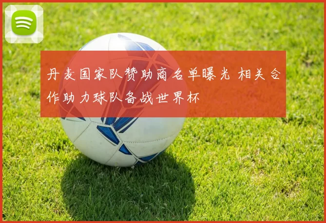 丹麦国家队赞助商名单曝光 相关合作助力球队备战世界杯