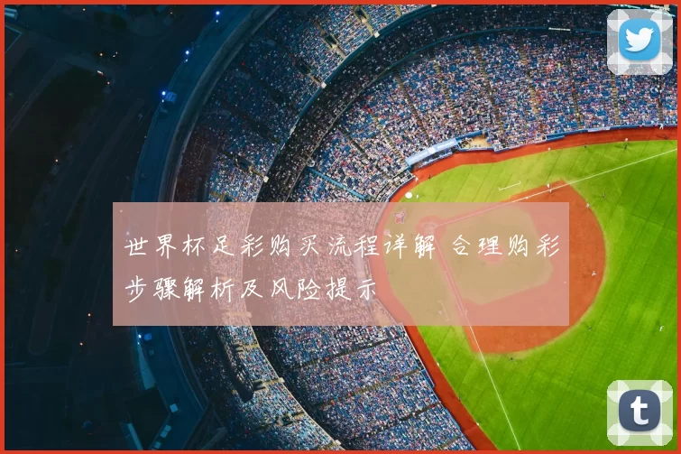 世界杯足彩购买流程详解 合理购彩步骤解析及风险提示